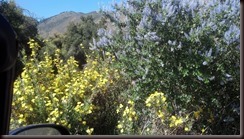 IMG_20130403_143351_318 IMG_20130403_143351_318