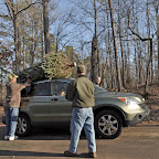HarrisShoalsPkTreeRecycle