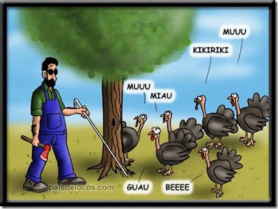 chistes graficos (14) chistes graficos (14)