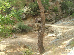 DSCF3634.jpg