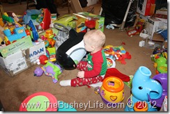 IMG_0616 IMG_0616