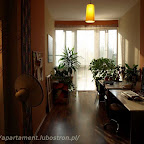 20080822_1742_OL.jpg