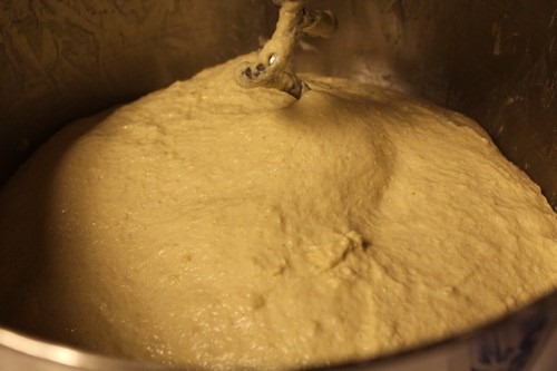 [semolina-spelt-turtles003%255B5%255D.jpg]