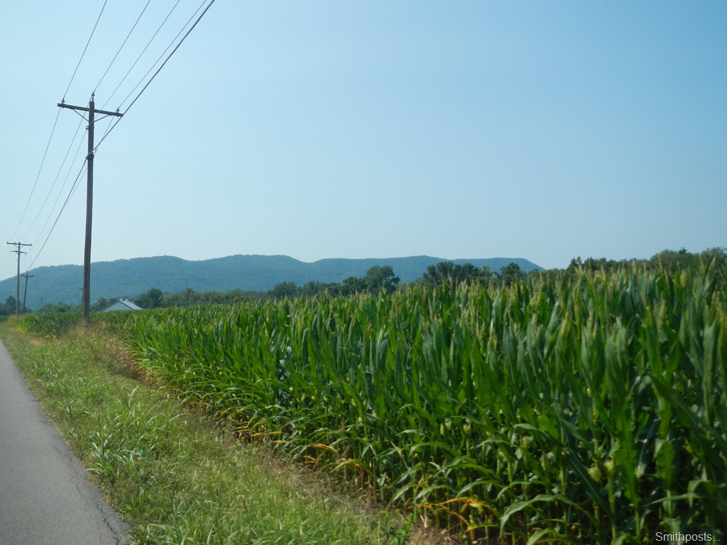 [DSCN4252%255B1%255D.jpg]