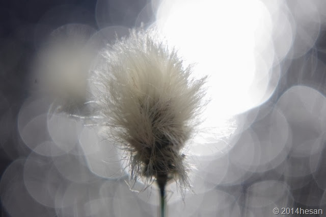 028 (640x425) 028 (640x425)