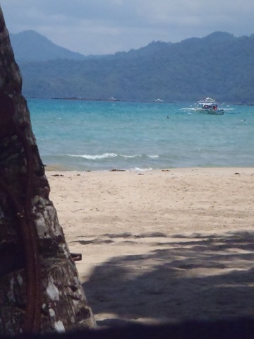 [P41901722.jpg]