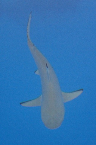 [IMG_67021280x8533.jpg]