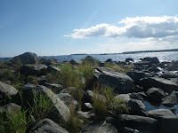 IMGP0108.JPG Photo