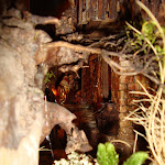 1521-25.JPG