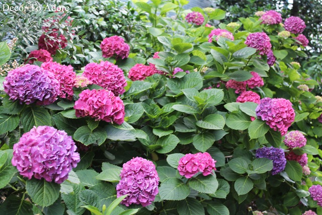 [Summer%2520Vacation%25202013%2520071%255B2%255D.jpg]