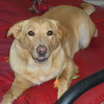 DSCN5080.jpg