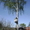 gołębnik dsc06366.jpg
