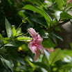DSC04038.jpg