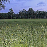 IMG_1594.JPG