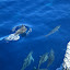 TW_TRIP_0153.JPG