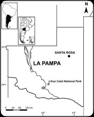 lihue calel map