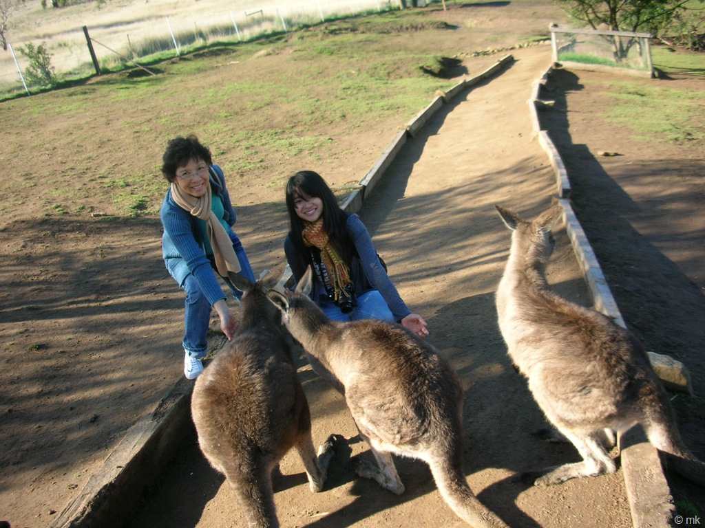 [DSCN44407.jpg]