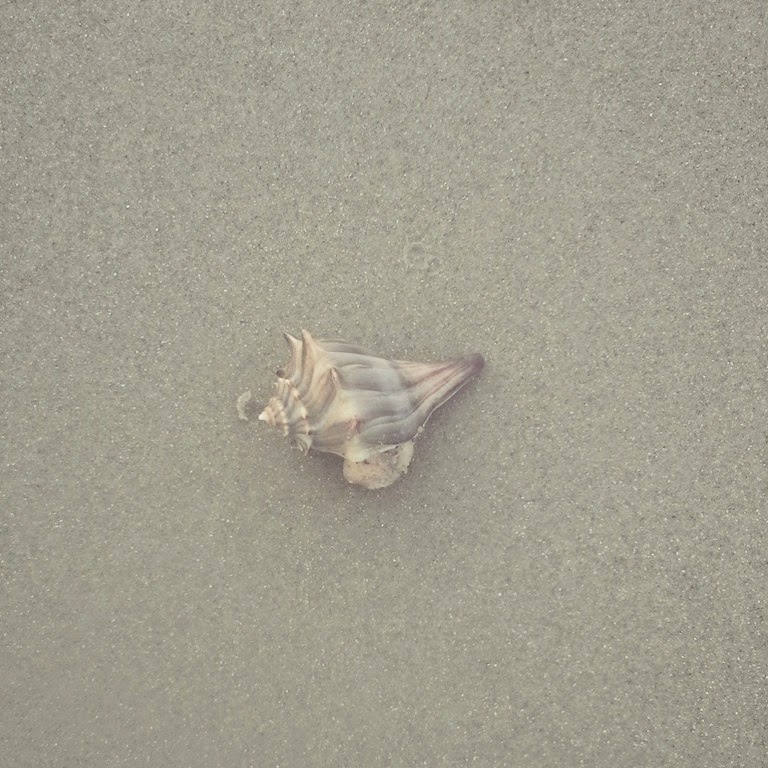 [conch%255B9%255D.jpg]