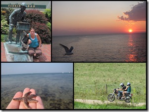 August 2011 Blog review5