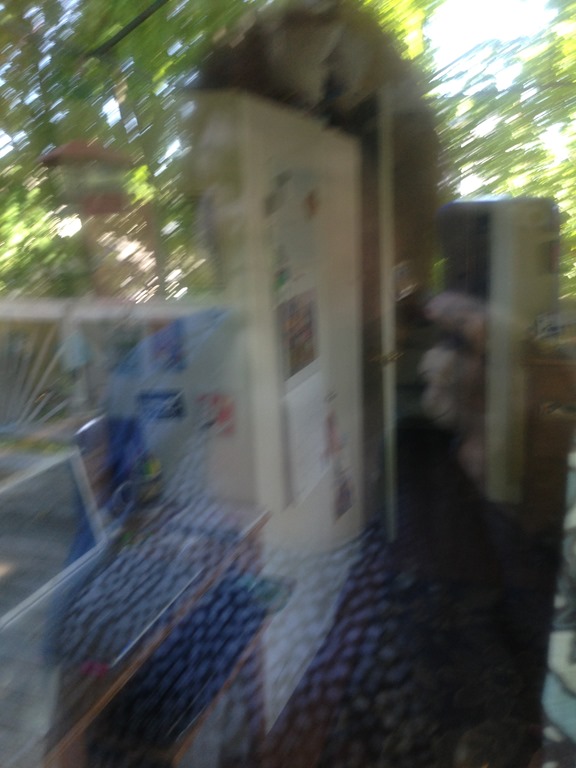 [IMG_5034%255B4%255D.jpg]