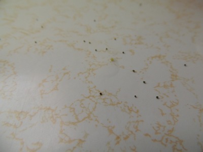 [July17Food%2520005%255B3%255D.jpg]