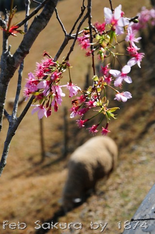 [DSC_4660%255B4%255D.jpg]