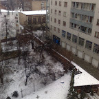 N623.jpg