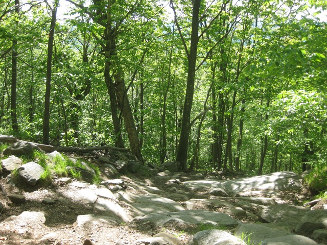[IMG_4245%255B3%255D.jpg]