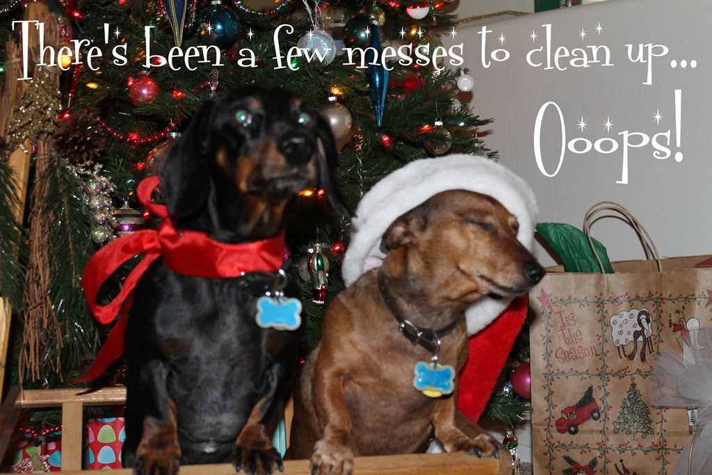 [rudi%2520and%2520franz%2520005-001%255B3%255D.jpg]