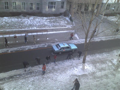 11271415 (Medium).jpg