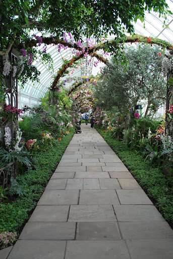 Here is the second space of the Orchid Show. It was inspired by the promenade at the New Amsterdam Theatre.
