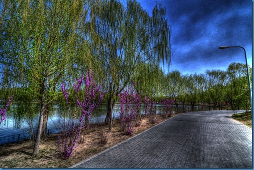 Beijing Park HDR