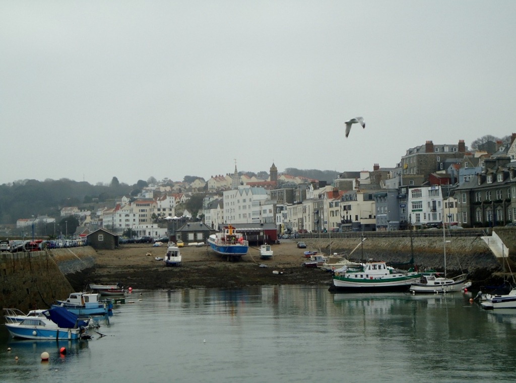 [DSC08901%255B4%255D.jpg]