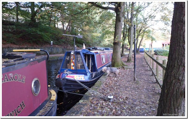 SAM_3977 Uppermill Moorings SAM_3977 Uppermill Moorings