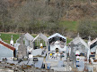 greenhouse graves @ Lot