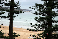 Surfing at Manly beach
