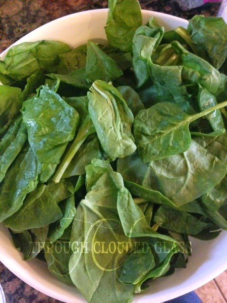 Chicken Spinach Lasagna | Through Clouded Glass Chicken Spinach Lasagna | Through Clouded Glass
