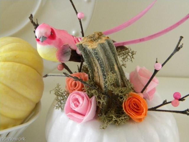 [Pumpkin-65.jpg]