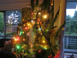 Christmastree2010