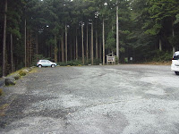 R0011678.JPG Photo