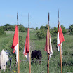 Heilsberg 2011-0001.jpg