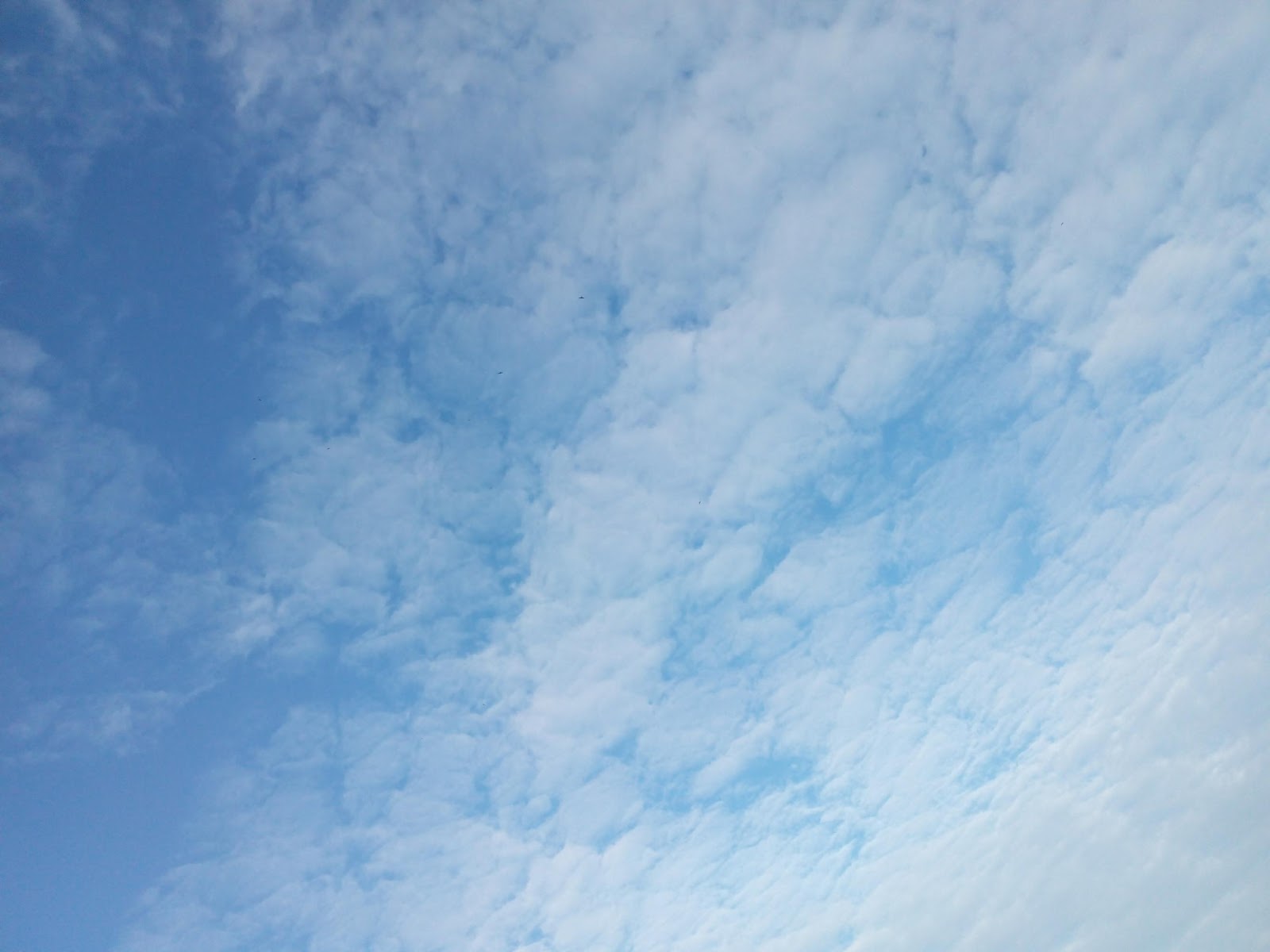 INFO MUSLIMAH: Langit cerah... Alhamdulillah