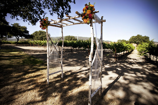 The ceremony structure framed the couple and the vineyard background. The ceremony structure framed the couple and the vineyard background.