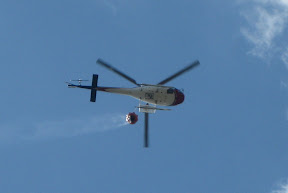 IMG_0656_cropped.JPG