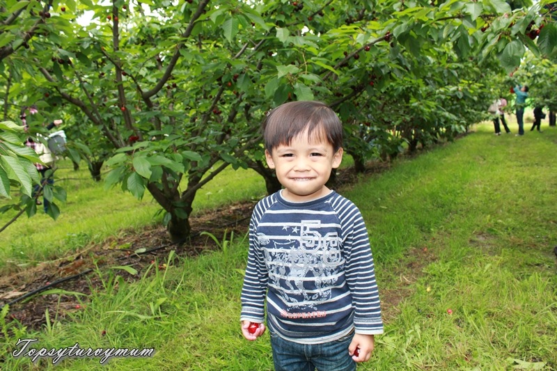 [IMG_3068%255B3%255D.jpg]