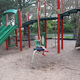 IMG_0239.JPG
