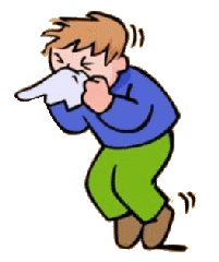 sneezing boy allergy symptom