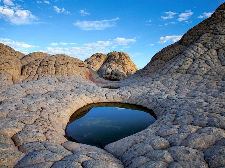 white-pocket-arizona-0 white-pocket-arizona-0