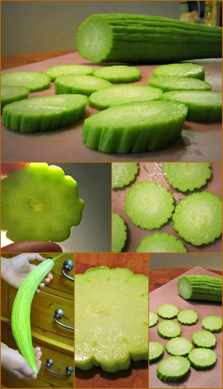 [Armenian%2520cuke%2520collage%255B10%255D.jpg]