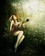 Bird Of Paradise By Inertiak